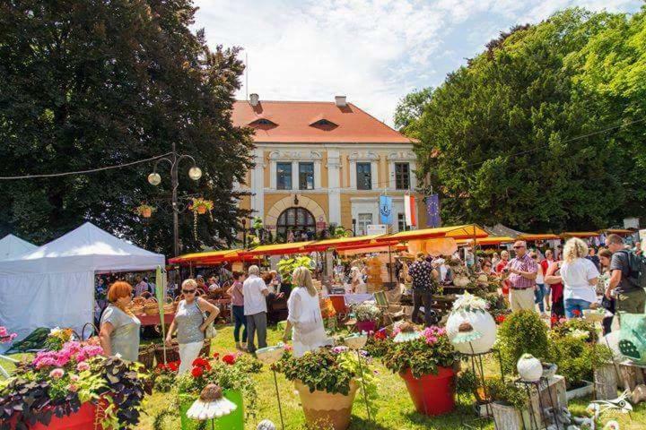 شقة Der Kleine Bauernhof Keine Arbeiter Zadnych Pracownikow Lubiatow  المظهر الخارجي الصورة
